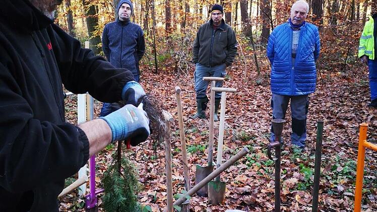 Bei einem Pflanzkurs wurden die Waldbesitzer vor der Ausgabe der Pflanzen geschult.      Foto: Mathias Erlwein
