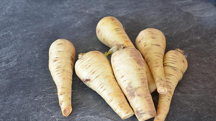 Pastinaken sehen Petersilienwurzeln sehr ähnlich.