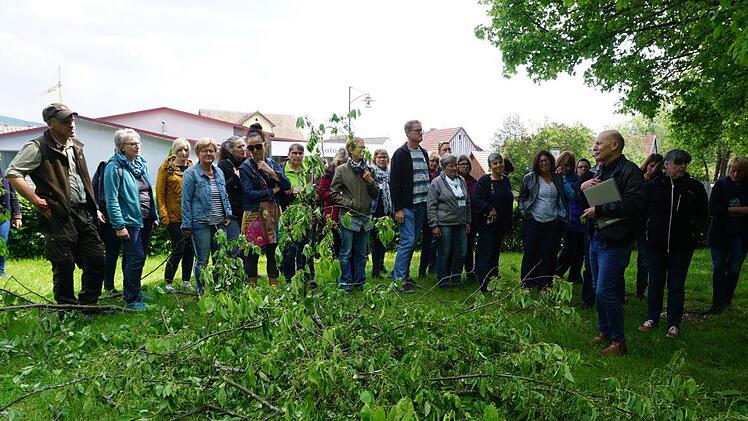Anlässlich des Unterfränkischen Netzwerktags für erlebnisorientierte  Angebote gab es im Garten und Park der Bischofsheimer  Hauswirtschaftsschule Führungen. Im Bild die Führung durch den Park mit  Kreisfachberater Georg Hansul. Foto: Marion Eckert