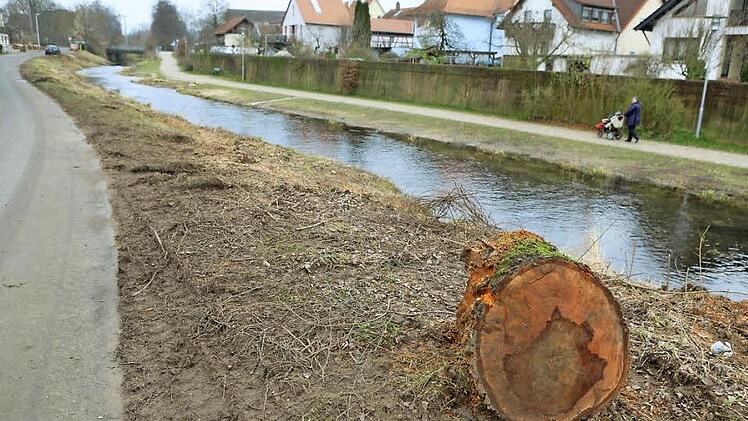 Etwa 30 Bäume mussten entlang der Dr. Ritz-Straße am Leitenbach in Drosendorf der Hochwasser-Freilegung weichen. Foto: Barbara Herbst