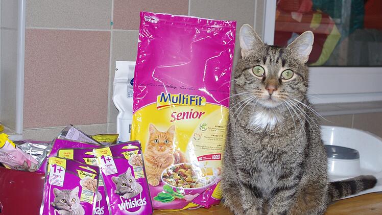 Tierheim Kronach bittet um Futterspenden