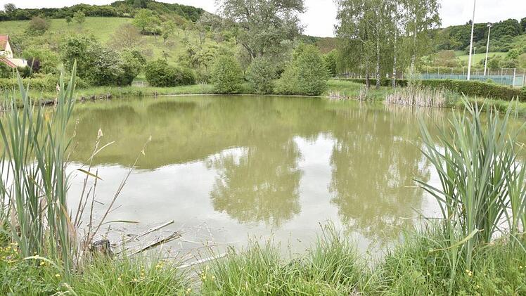 1981 wurde das ehemalige Königsberger Freibad an den Anglerverein Königsberg verpachtet, der seit dieser Zeit diese Anlage als Fischgewässer umgestaltet hat, instand hält, versorgt und unterhält.