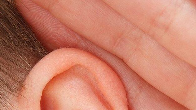 Forscher aus den USA machen Hoffnung auf eine Tinnitus-Heilung. Bisher wurde die Methode allerdings nur an Mäusen getestet.  Foto : PublicDomainPictures/Pixabay.com