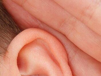 Forscher aus den USA machen Hoffnung auf eine Tinnitus-Heilung. Bisher wurde die Methode allerdings nur an Mäusen getestet.  Foto : PublicDomainPictures/Pixabay.com