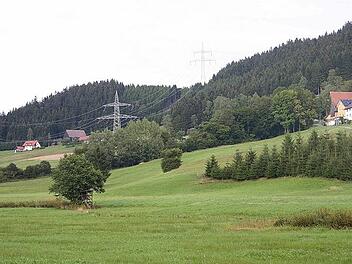 Angesichts Klimaveränderungen und schlechter werdender Trinkwasserqualität will Jürgen Baumgärtner Weiler und Gehöfte an die Wasserleitung anschließen und sich für eine 90-prozentige Förderung stark machen. Auch Geschwend (im Bild) soll angeschlossen werden. Veronika Schadeck
