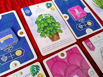 Sattgrün im Test - Familien-Legespiel zum Thema Zimmerpflanzen