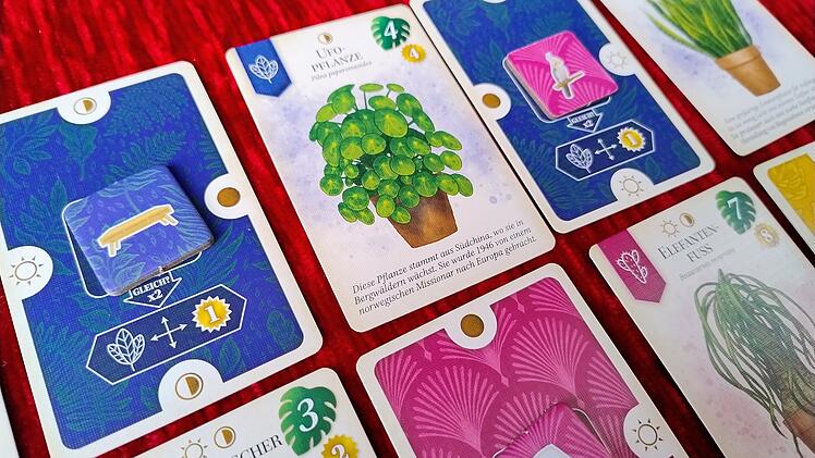 Sattgrün im Test - Familien-Legespiel zum Thema Zimmerpflanzen