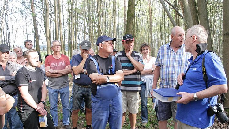 Im Wald bei Trailsdorf Foto: Sylvia Hubele
