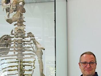 Carsten Ritzau neben einem Dinosaurier-Skelett Foto: Svenja Sollmann