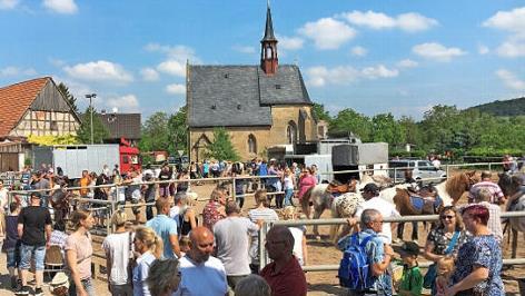 Über tausend Besucher kamen wieder zum Pferdemarkt.
