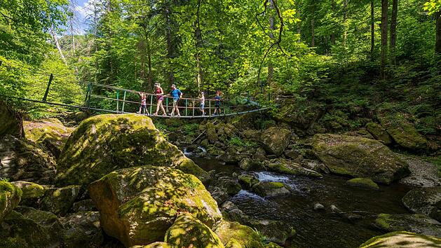 Familienurlaub im Bayerischen Wald: Ausflugstipps, Sommer-Specials und Erlebnisse zum Nulltarif