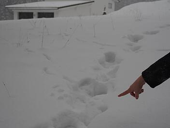 Die Spuren rund ums Haus waren trotz des gestrigen Schneetreibens in Gifting auch am Mittwoch noch zu erkennen. Foto: Marco Meißner