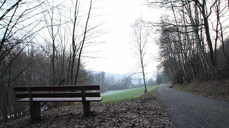 An dieser Stelle soll die Biber-Plattform im Staatsbad Bad Brückenau entstehen. Foto: Ulrike Müller