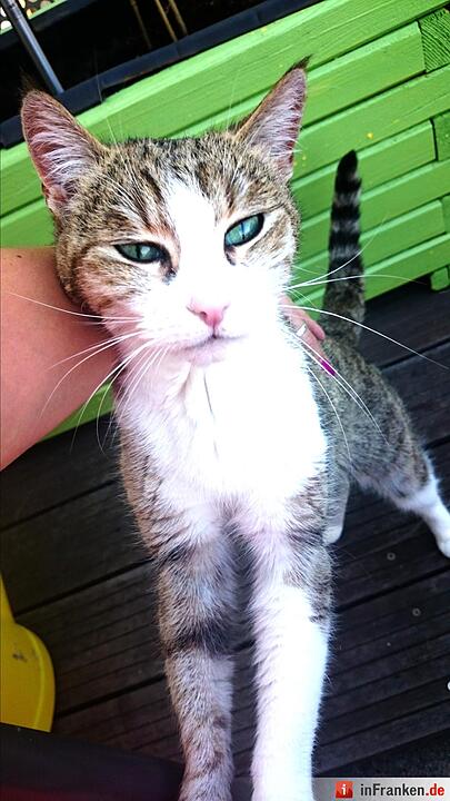 Foto: Nadine Wachter