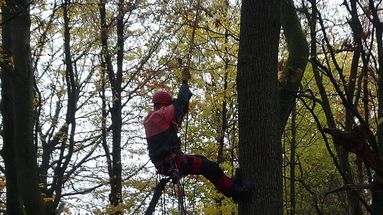 Bau eines Kunsthorstes im Stralsbacher Wald. Foto: Joachim Dahmer