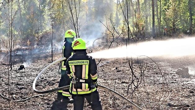 Der Waldbrand zwischen Eyrichshof und Fischbach (Stadt Ebern) forderte seinen Tribut. Fotos: Helmut Will