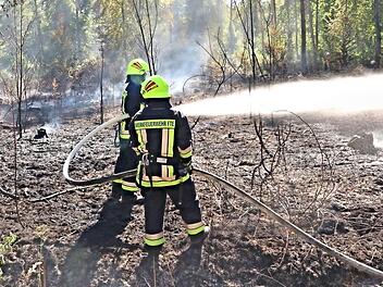 Der Waldbrand zwischen Eyrichshof und Fischbach (Stadt Ebern) forderte seinen Tribut. Fotos: Helmut Will