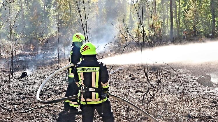 Der Waldbrand zwischen Eyrichshof und Fischbach (Stadt Ebern) forderte seinen Tribut. Fotos: Helmut Will