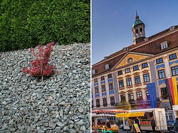 Coburg entscheidet über Verbot von Schottergärten