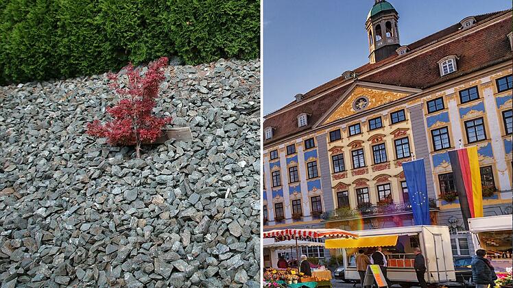 Coburg entscheidet über Verbot von Schottergärten