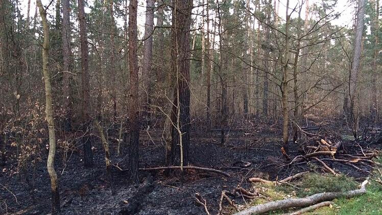 So sah das verbrannte Waldstück am Tag danach aus.  Foto: Michael Wehner