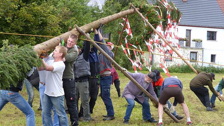 Die Heckenhofner Burschen stellen den Kirchweihbaum auf.Fotos: Wolf