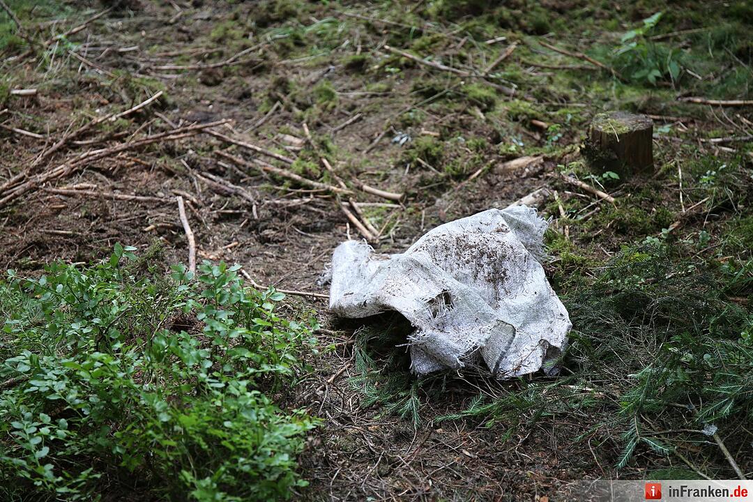 Fundort von Peggys Leiche