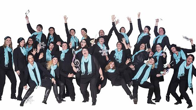 Das Vocalensemble Coburg gastiert am Samstag in Seßlach. Das Konzert in der St. Johannes Kirche beginnt um 15.30 Uhr.Foto: PR/Archiv
