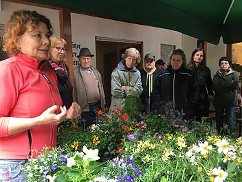 Brigitte Goss empfahl bienenfreundliche Blumen für den Balkonkasten.Kerstin Väth