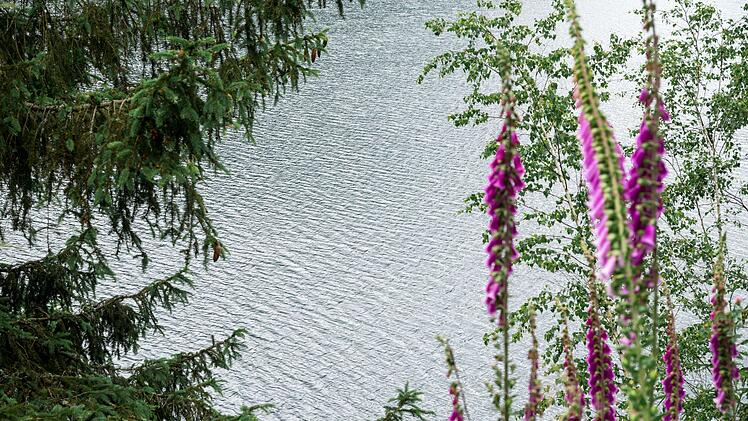 Trinkwassertalsperre Mauthaus, K&ouml;deltalsperre