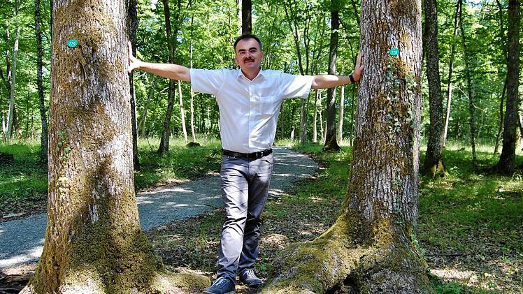 Nüdlingens Bürgermeister Harald Hofmann steht zwischen zwei Friedhofsbäumen, die zum Nüdlinger Naturfriedhof gehören.  Foto: Sigismund von Dobschütz
