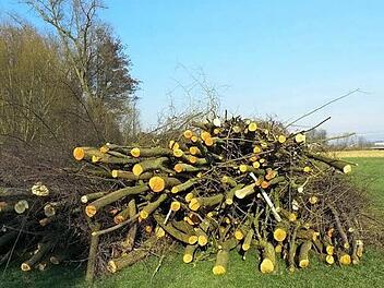 Im Süden von Marktzeuln türmt sich das geschlagene Holz. Fotos: Christiane Wegner/Andreas Schmitt
