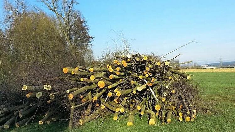 Im Süden von Marktzeuln türmt sich das geschlagene Holz. Fotos: Christiane Wegner/Andreas Schmitt