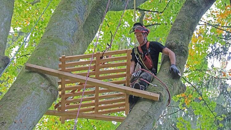 Foto: Hans-Peter Schönecker