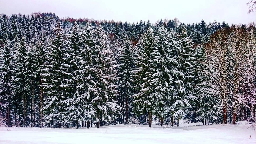 Urlaub in Franken: Rhön im Winter