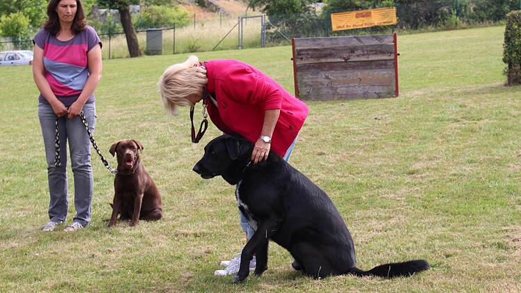 Für eine bestandene Aufgabe gibt's vom Frauchen ein dickes Lob.