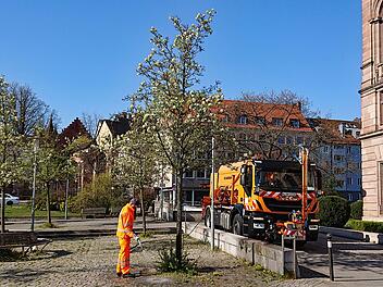 N&uuml;rnberg: Erhalt eines nachhaltigen Baumbestands.