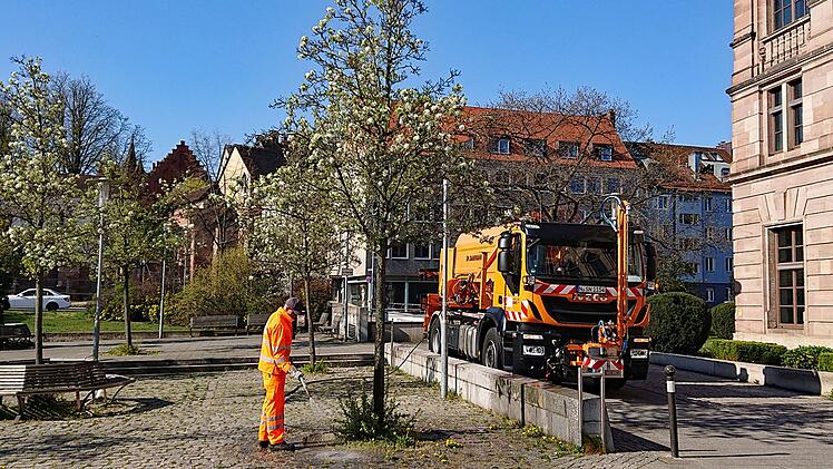 N&uuml;rnberg: Erhalt eines nachhaltigen Baumbestands.
