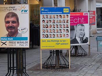 Ein Baum, ein Schild: So sah es in Coburg vor der Kommunalwahl 2008 aus. Thomas Bittorf, Vorsitzender der CSU Coburg-Stadtmitte, hat nun vorgeschlagen, dass alle Parteien sich darauf einigen, im Wahlkampf 2014 nicht so stark zu plakatieren - auch um zu sparen. Foto: CT-Archiv