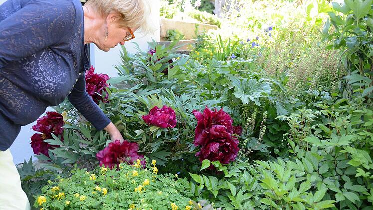 Die Traumgarten AG zu Besuch bei Anita Heerdegen im Guttenberger Ortsteil Eeg. Foto: Dagmar Besand