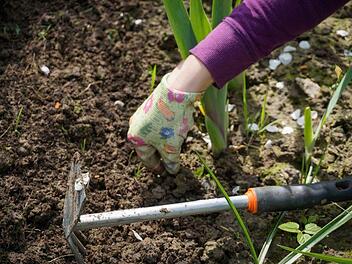 Jäten ist ein unliebsame Arbeit, aber hin und wieder muss es erledigt werden, damit der Garten gepflegt ist. Symbolbild: summa/pixabay.com