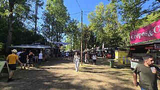 Das Taubertal Festival 2025: Mit Hilltop Hoods, IPrevail, 01099, Madsen, Irie Révoltés und vielen weiteren