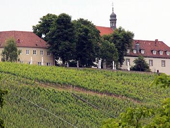 Durch den Umbau der Vogelsburg wird sich die Ansicht der Burganlage von Escherndorf und Nordheim aus stark verändern. Unter anderem werden viele der riesigen Bäume der Motorsäge zum Opfer fallen.  Fotos: fp