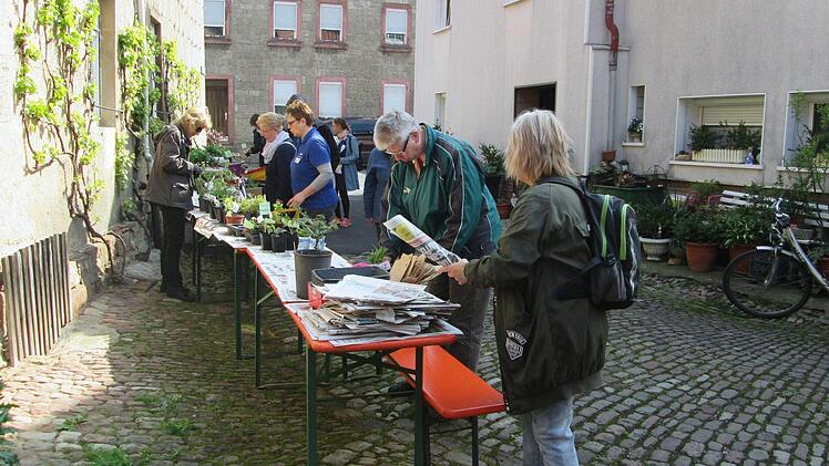 Foto: Winfried Ehling