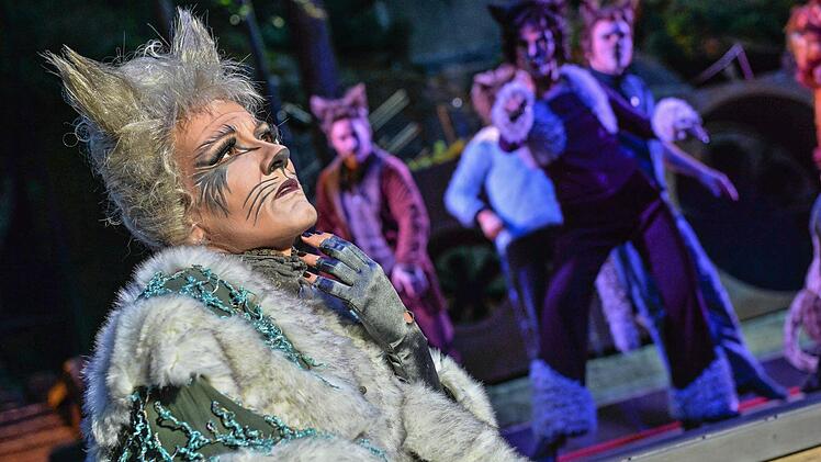 Kerstin Ibald überzeugt als melancholische Grizabella. Foto: Florian Miedl
