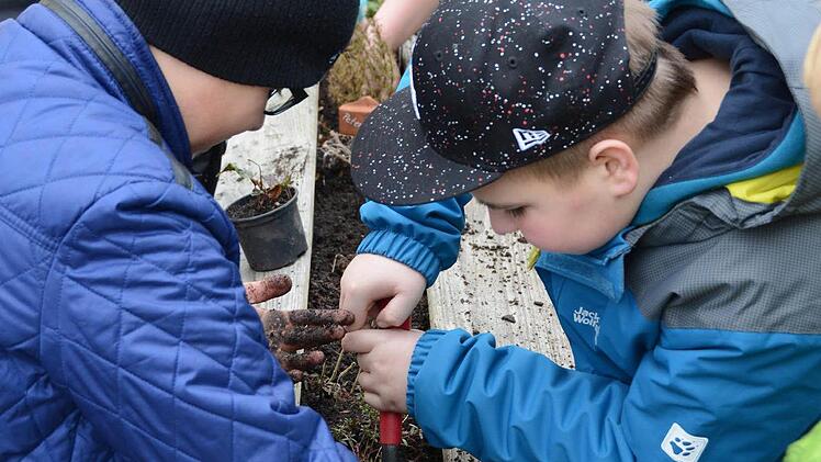 Erster Arbeitseinsatz im Melkendorfer Schulgarten: Die Grundschüler sind mit vollem Einsatz dabei! Foto: Dagmar Besand