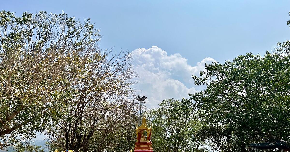 T-dlicher-Elefanten-Angriff-Thailand-verst-rkt-Sicherheit