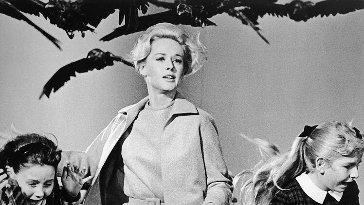 Alfred Hitchcock hatte eine fast schon krankhafte Vorliebe f&uuml;r blonde Frauen. Vor allem von Tippi Hedren war er besessen - er engagierte die Schauspielerin f&uuml;r "Die V&ouml;gel" (Bild) und "Marnie".