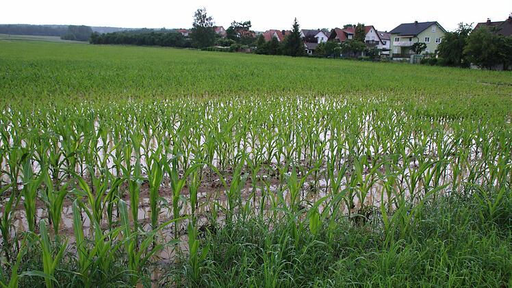 Das Wasser steht Zentimeter hoch im Feld. Foto: Ronald Heck