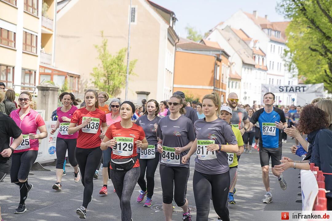 Weltkulturerbelauf 2017 in Bamberg: Der Wieland-Lauf